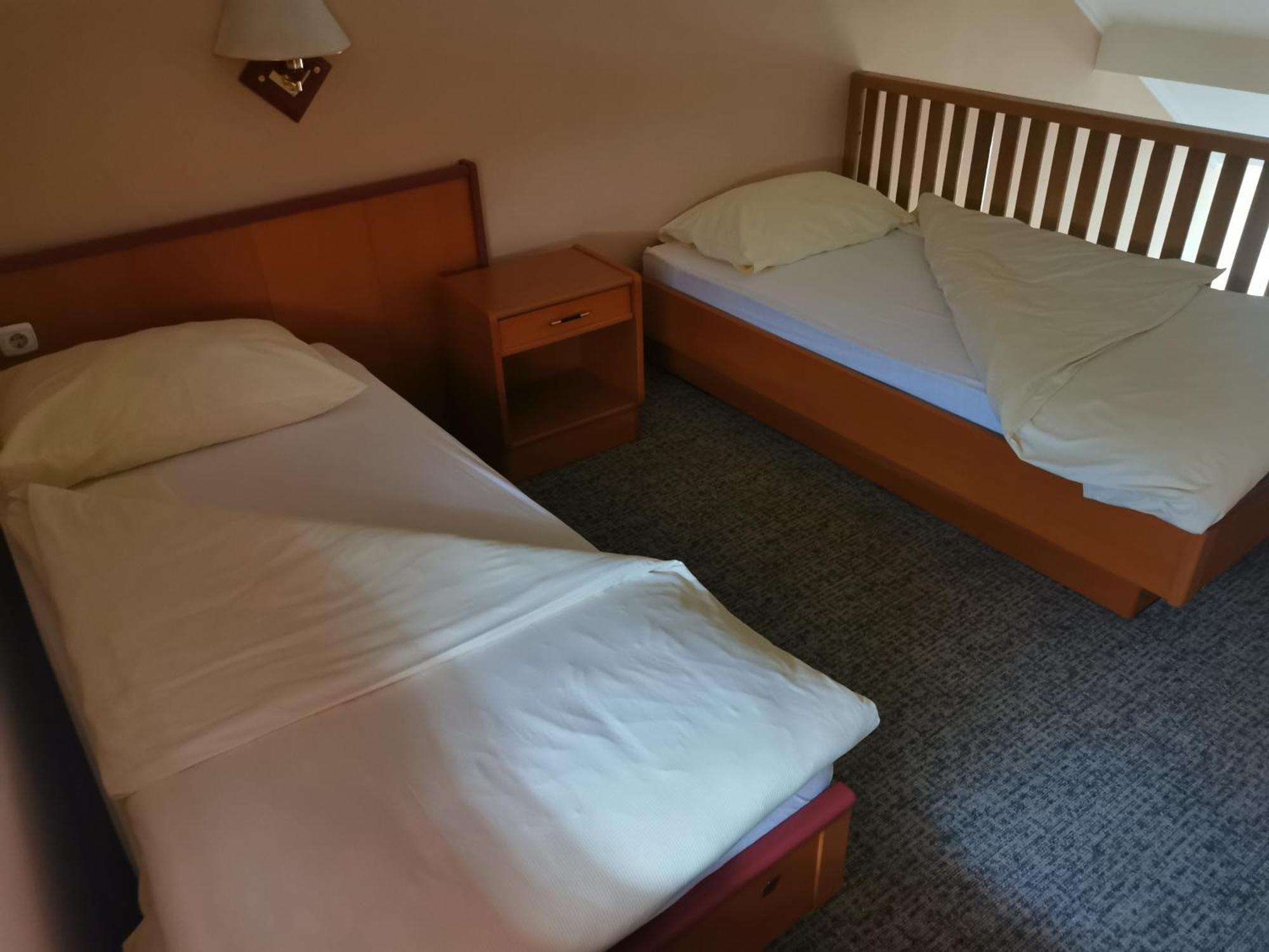 Hotel Delminium Ilidža Habitación foto